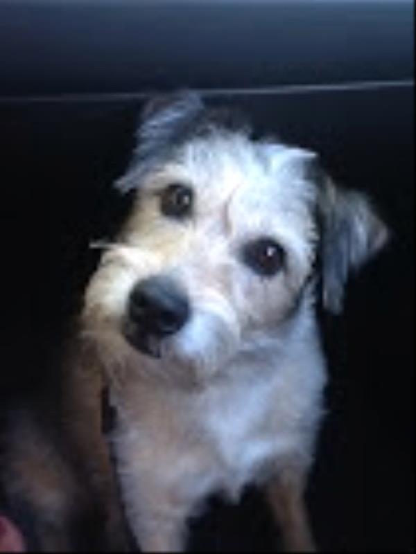 /Images/uploads/Humane Society of Utah/HSUCalendar/entries/1561thumb.jpg
